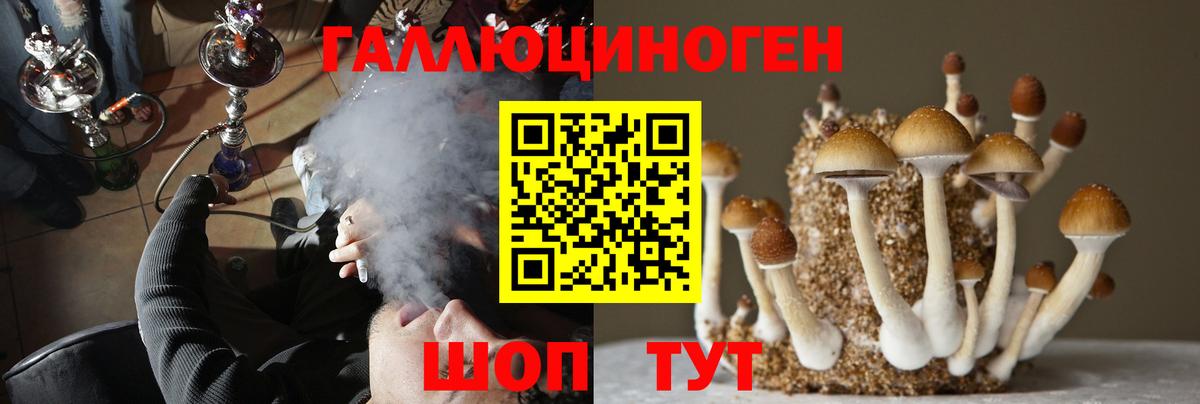 наркошоп  Вход с VPN  Сосновоборск  Псилоцибиновые грибы MAGIC MUSHROOMS  Псилоцибиновые грибы Cubensis 